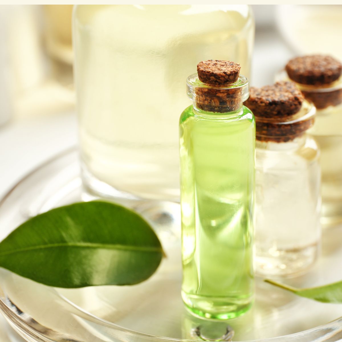 tea tree and essential oils